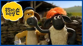 에피소드 펀 믹스 11 - 숀 더 쉽 - 편집 1 시간 [Shaun the Sheep Korea | Compilation]