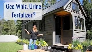 Life in a Tiny House called Fy Nyth - Gee Whiz, Urine Fertilizer?