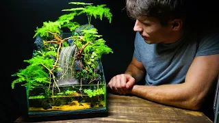 I Made a TRIPLE Waterfall Paludarium, Here’s How!