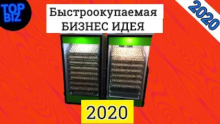 Бизнес идеи 2020. Выращивание бройлеров. Рентабельность, условия, оборудование, окупаемость.Топ Биз