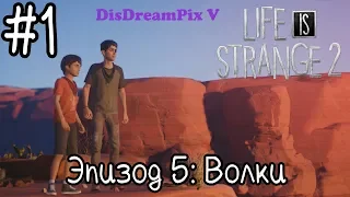 Life is Strange 2 - Эпизод 5: Волки #1 [на русском, без комментариев]