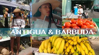 ANTIGUA PUBLIC MARKET | SATURDAY MORNING IN ST JOHN'S