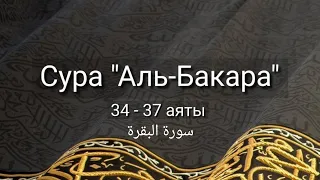 Выучите Коран наизусть | Каждый аят по 10 раз 🌼| Сура 2 "Аль-Бакара" (34-37 аяты)