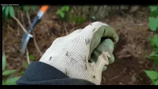 Metal Detecting - 100 Year Old Rest Area