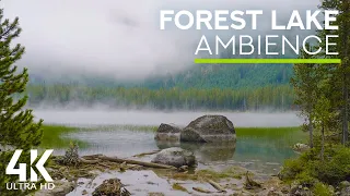 8 HOURS of Calming Lake Waves Sounds and Bird Chirping - 4K Mystic Atmosphere of a Forest Lake
