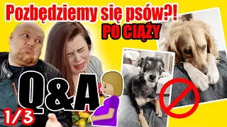 1/3 CIĄŻA Q&A PRESJA RODZINY NA CIĄŻĘ! CZY POZBĘDZIEMY SIĘ PSÓW?! Chłopiec będzie miał sukienki?!