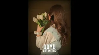 Qarakesek- QOYU minus (текст описаниеда)
