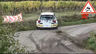 Rallye Centre Alsace 2023 | Show & Mistakes | by Rcup Vidéo