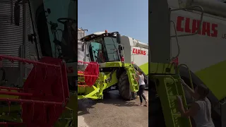 Beautiful girl cleans Claas Lexion before the harvest! 💚 #amazing #beautiful #claas #lexion #farm