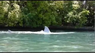 FULL VIDEO: JAWS Ride At Universal Studios Orlando