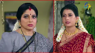 Padmavathi Kalyanam Latest Promo | Episode 84 | Mon-Sat 2:30pm | 5th November 2022 | ETV Telugu