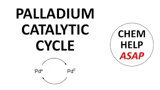 palladium catalytic cycle