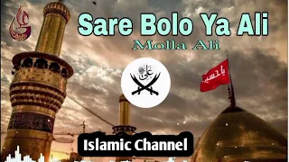 Sare Bolo Ya Ali molla ali Qawwali 2024 🙌⚔️🙌 || #hazratali #molaali #islamic   #foryou #dubai