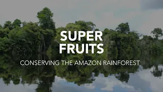 Super Fruits: Conserving the Amazon Rainforest