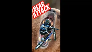 How to SURVIVE a 🐻 BEAR ATTACK on the trails! #shorts #tips #mtb