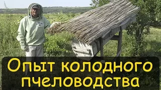 Колодное пчеловодство. Реальный опыт. Содержание пчел в колодах  Владимир Петрушев