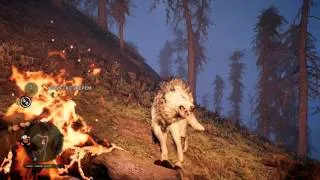 проходим Far Cry Primal Пещера плачущих камней