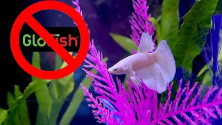 DON'T Buy A Glow Betta, Try This Instead