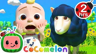 🐑 Baa Baa Black Sheep KARAOKE 🐑 | 2 HOURS OF COCOMELON | Sing Along With Me! | Animal Songs for Kids