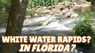 Florida Hikers & Kayakers: A State Park with White Water Rapids! | Hillsborough River State Park