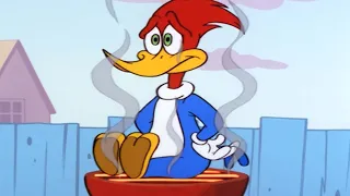 Woody Woodpecker | Wally's Barbecue + More Full Episodes