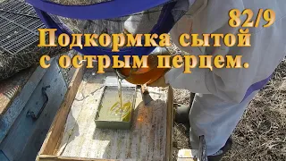 Подкормка сытой с острым перцем.