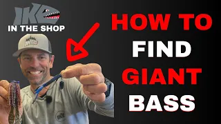 How to Find GIANT BASS (Guide)