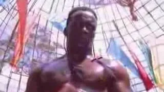 Loren Avedon vs  Billy Blanks - The King of Kickboxers (1990)