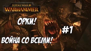 Total War: Warhammer. Легенда. Война со всеми. Орки. #1