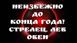 Ваше будущее? Что ждет в 2021?  знаки огня Таро для мужчин и женщин