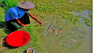 Amazing Asian Net Fishing Video | Traditional Fish Catching In Village River-(part-16)