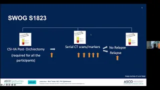 Testicular Cancer Conference Highlights from ASCO GU 2023