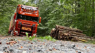 Holztransport Scania Wald