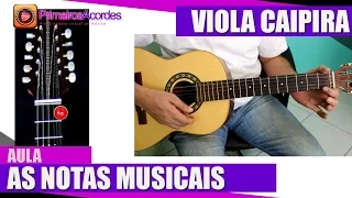 Curso de Viola Caipira Iniciante - As notas musicais no braço da Viola Caipira (Aula 3)