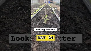 #farm #farmer #plants #daily #update #positivevibes #learning #learn #life #hack #diy