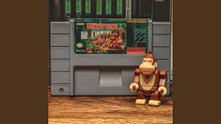 Forest Interlude (Donkey Kong Country 2: Diddy's Kong Quest)