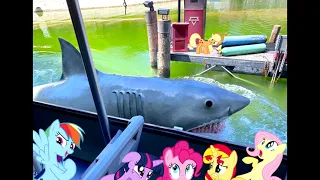 Ponies on Jaws - Tram Tour Version