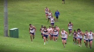 Blues pre-season training: field-based conditioning session