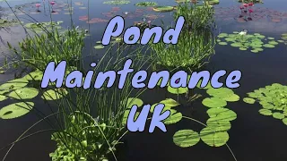 Pond Maintenance UK - What type of pond maintenance?