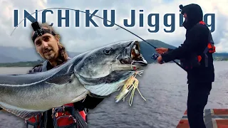 Thrilling Battle - Big Coalfish Caught on Inchiku Jig from Shore!