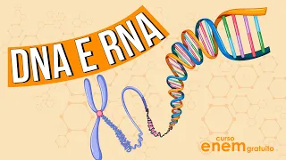 DNA E RNA: o que são; funções e diferenças | RESUMO DE BIOLOGIA ENEM