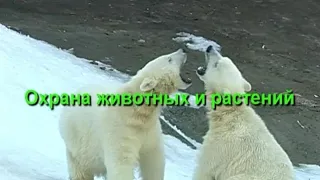 Охрана животных и растений