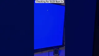 Checking for Burn in on my LG CX 48” OLED TV