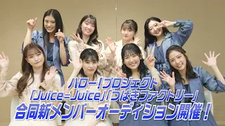 ハロー！プロジェクト「Juice=Juice」「つばきファクトリー」合同新メンバーオーディション開催！