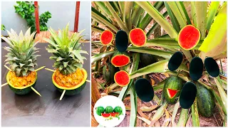 Water melons with pineapple , grafting pineapple tree with water melons to has a lot of fruit