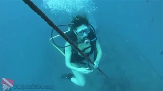 Honolulu Scuba Diving - Sea Tiger Shipwreck - vlog 388