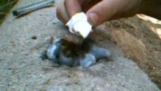 easy way to make fire without lighter or matches