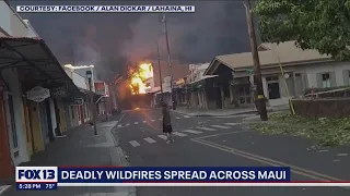 6 killed so far in Maui wildfires | FOX 13 Seattle