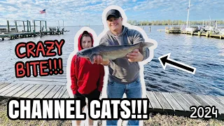CRAZY Channel Cat Bite!!! - Family Catfishing in North Carolina