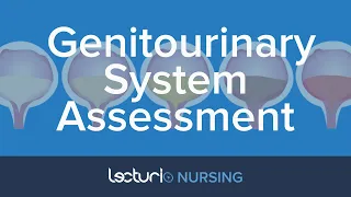 Nursing Assessment of the Kidneys & Genitourinary System | Physical Assessment